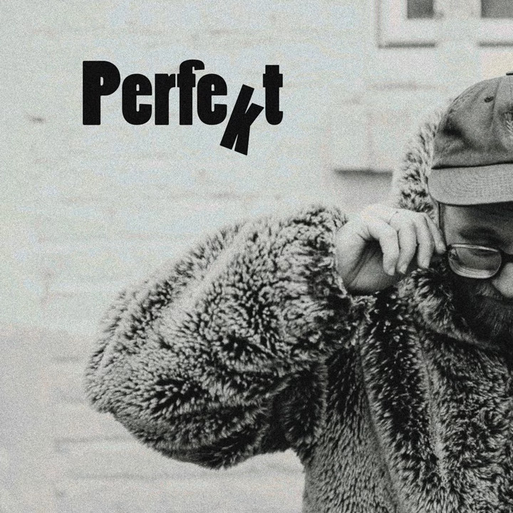 Fabian Haupt - Perfekt