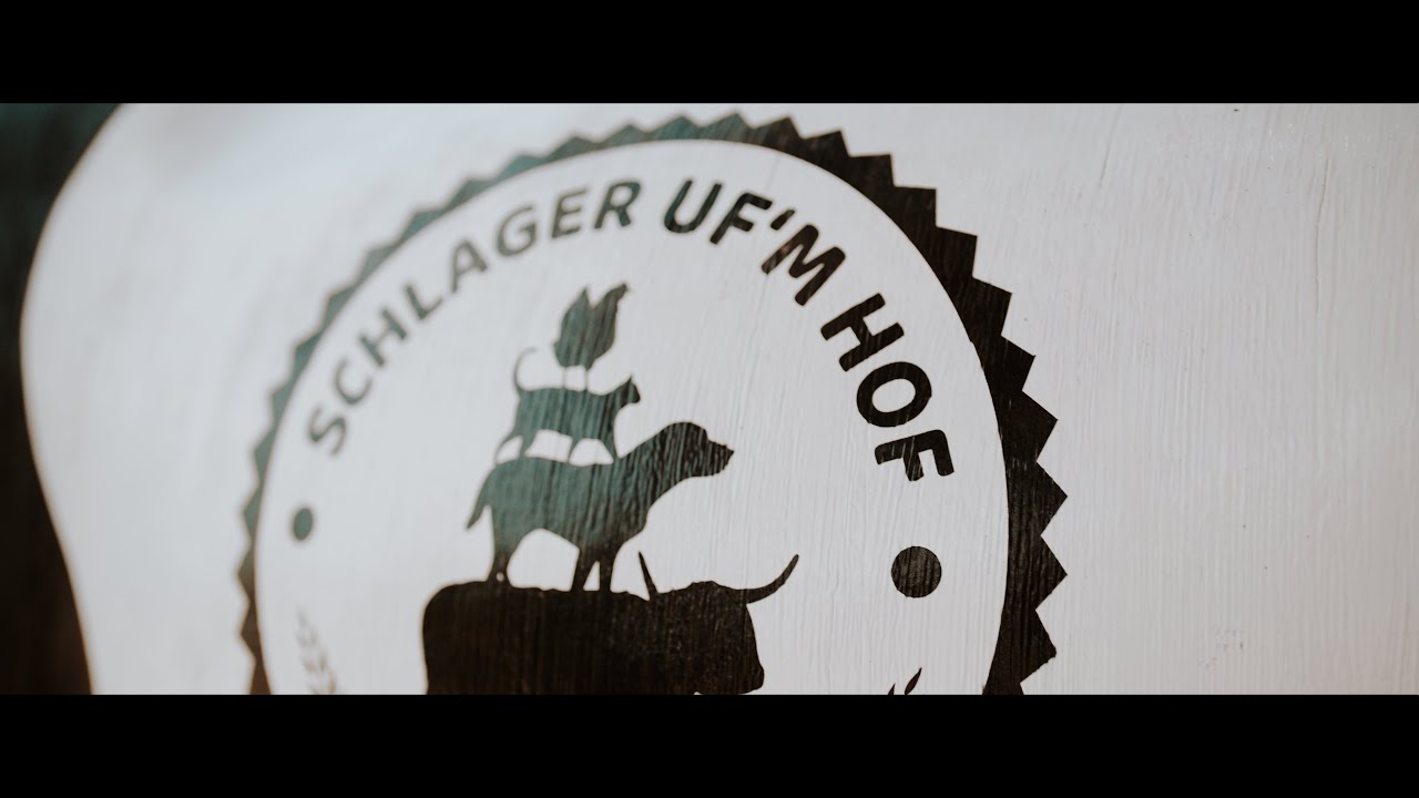 Youtube Vorschau - Video ID BuMEs2o9nLM