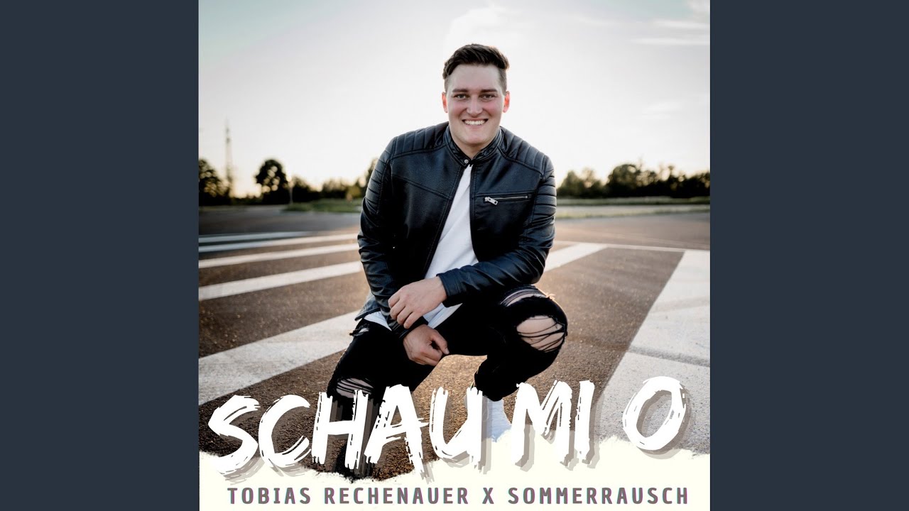 Youtube Vorschau - Video ID aYlCJpyLAVI