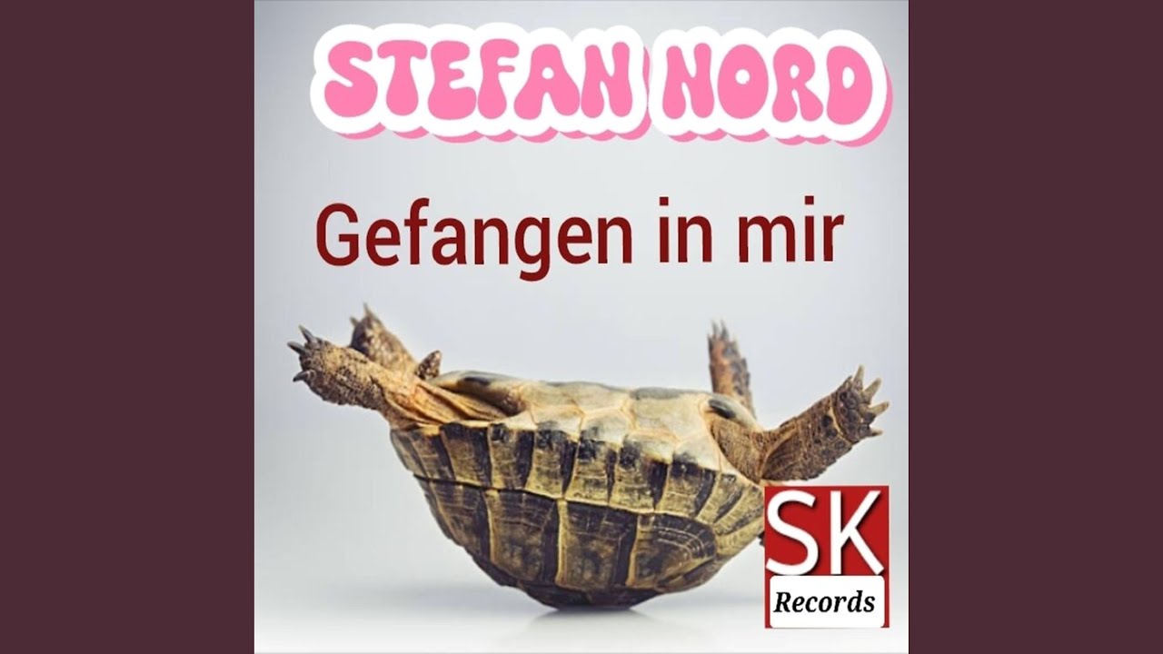 Youtube Vorschau - Video ID q8qAP0oLlVQ
