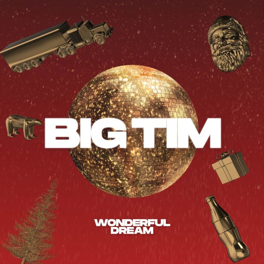 BIG TIM - Wonderful Dream
